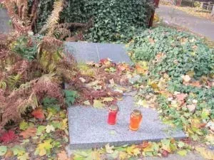 300x225x22901.jpg.pagespeed.ic_.ibBJV8J0xC