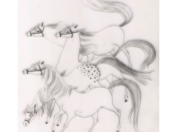 alicja-de-barcza-ilustracje-12-p