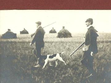 Polowaniw-na-kuropatwy