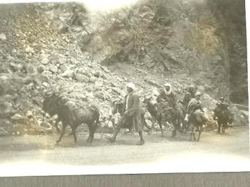 Algier-2