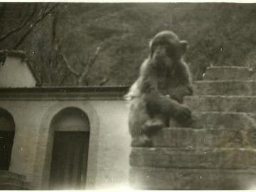 Co-by-tu-jeszcze-ukrasc