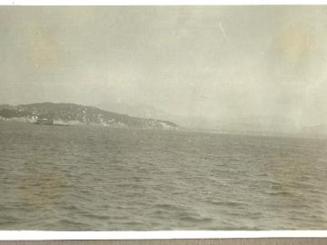 widok-d
