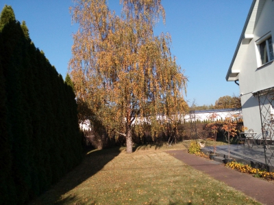 01_jesien