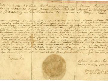 przywilej-augusta-III-dla-franciszka-i