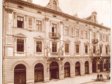 mikolasch2