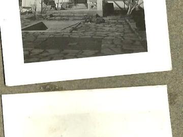 Tatarow-Bialy-Dom-Wysoczanskich