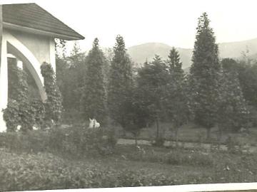 Tatarow-Bialy-Dom-aleja