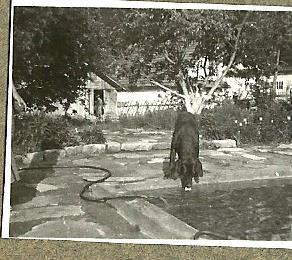 Tatarow-Bialy-Dom-zdrowa-woda-z-baseniku