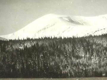 Tatarow-Howerla