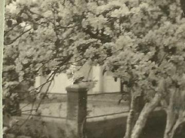 Tatarow-dom-dziadkow-Sad