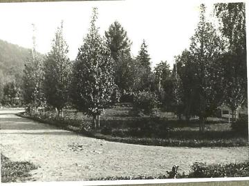 Tatarow-droga-przed-Bialym-Domem