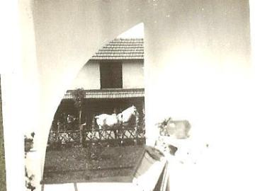 Tatarow-przeswit-z-werandy-na-podjazd