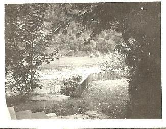 Tatarow-widoczek
