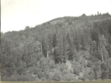 Tatarow-widok-na-poloniny-1